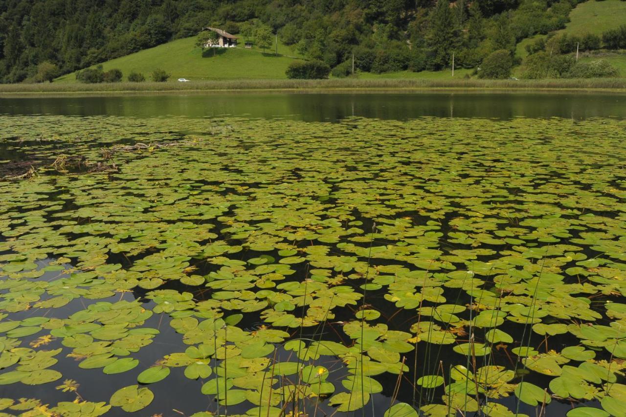Hotel Garni My Ledro Pieve Di Ledro Bagian luar foto